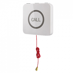 Кнопка вызова iBells 310S влагозащищенная со шнуром для МГН в Благовещенске